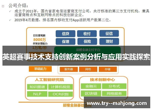 英超赛事技术支持创新案例分析与应用实践探索