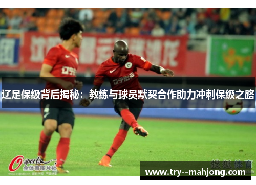 辽足保级背后揭秘：教练与球员默契合作助力冲刺保级之路