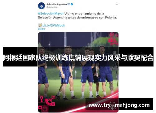 阿根廷国家队终极训练集锦展现实力风采与默契配合 阿根廷国家队终极训练集锦展现实力风采与默契配合