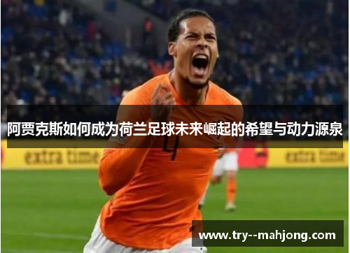 阿贾克斯如何成为荷兰足球未来崛起的希望与动力源泉 阿贾克斯如何成为荷兰足球未来崛起的希望与动力源泉