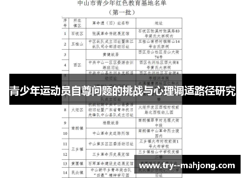 青少年运动员自尊问题的挑战与心理调适路径研究 青少年运动员自尊问题的挑战与心理调适路径研究
